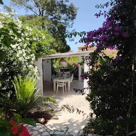 Beautiful Ibiza-style Vila *